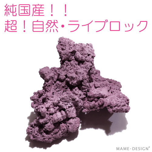 マメライブロック【マメデザイン】天然ライブロック型・人工ライブ