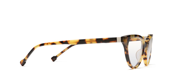 MGF_P_165931_B_grande.jpg?v=