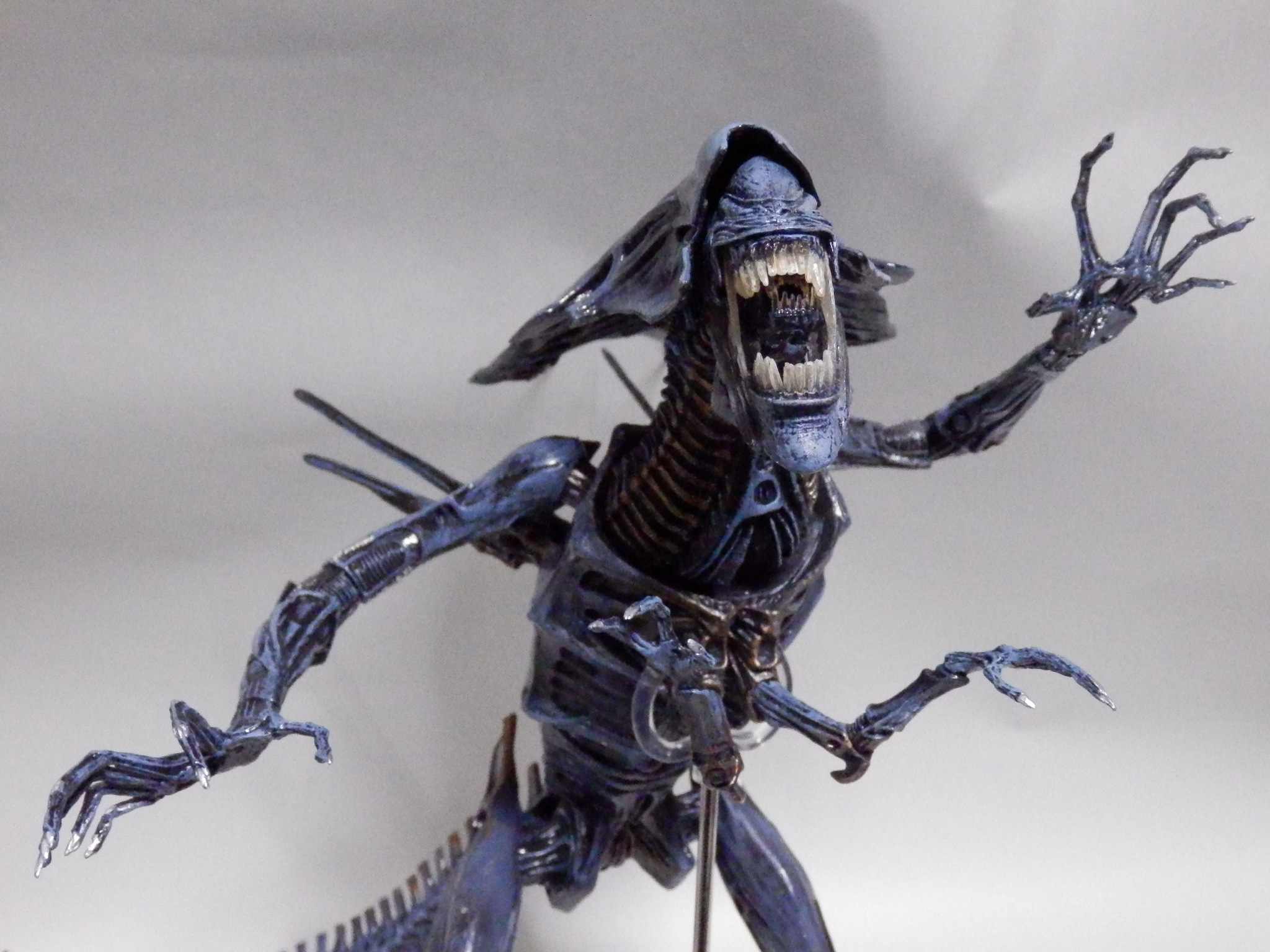 レビュー:NECA エイリアンクイーン | オタクin東毛