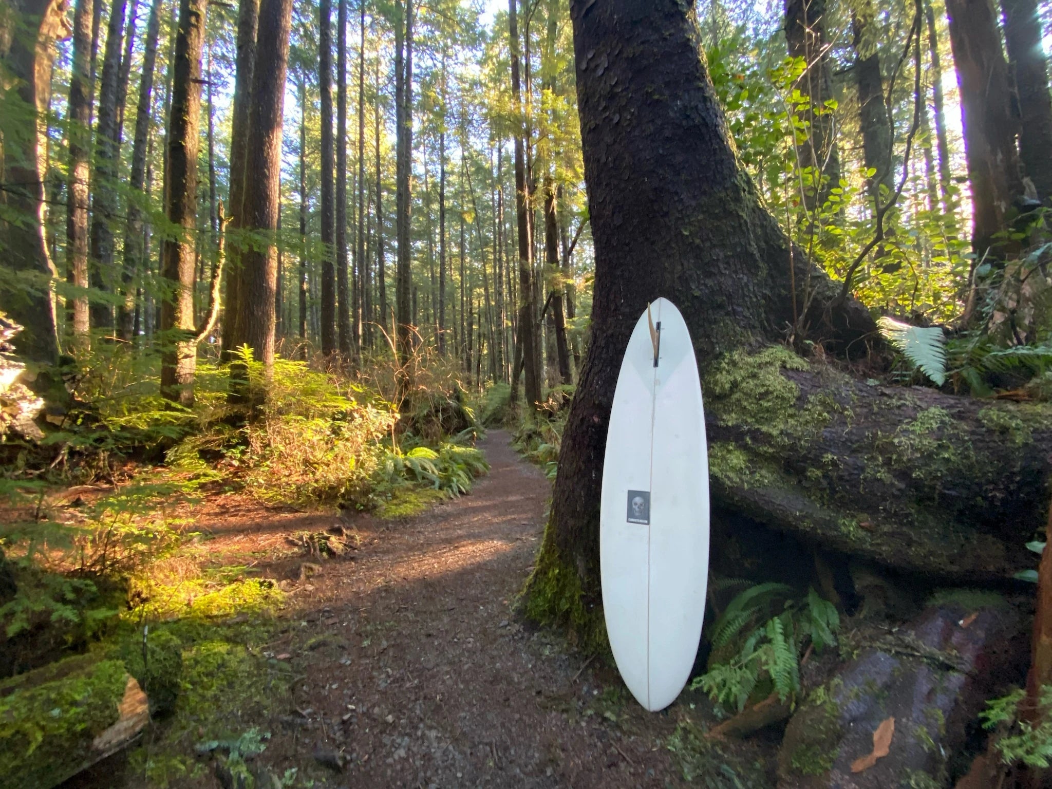 すべてのミッドレングス | クリステンソン サーフボード 日本公式