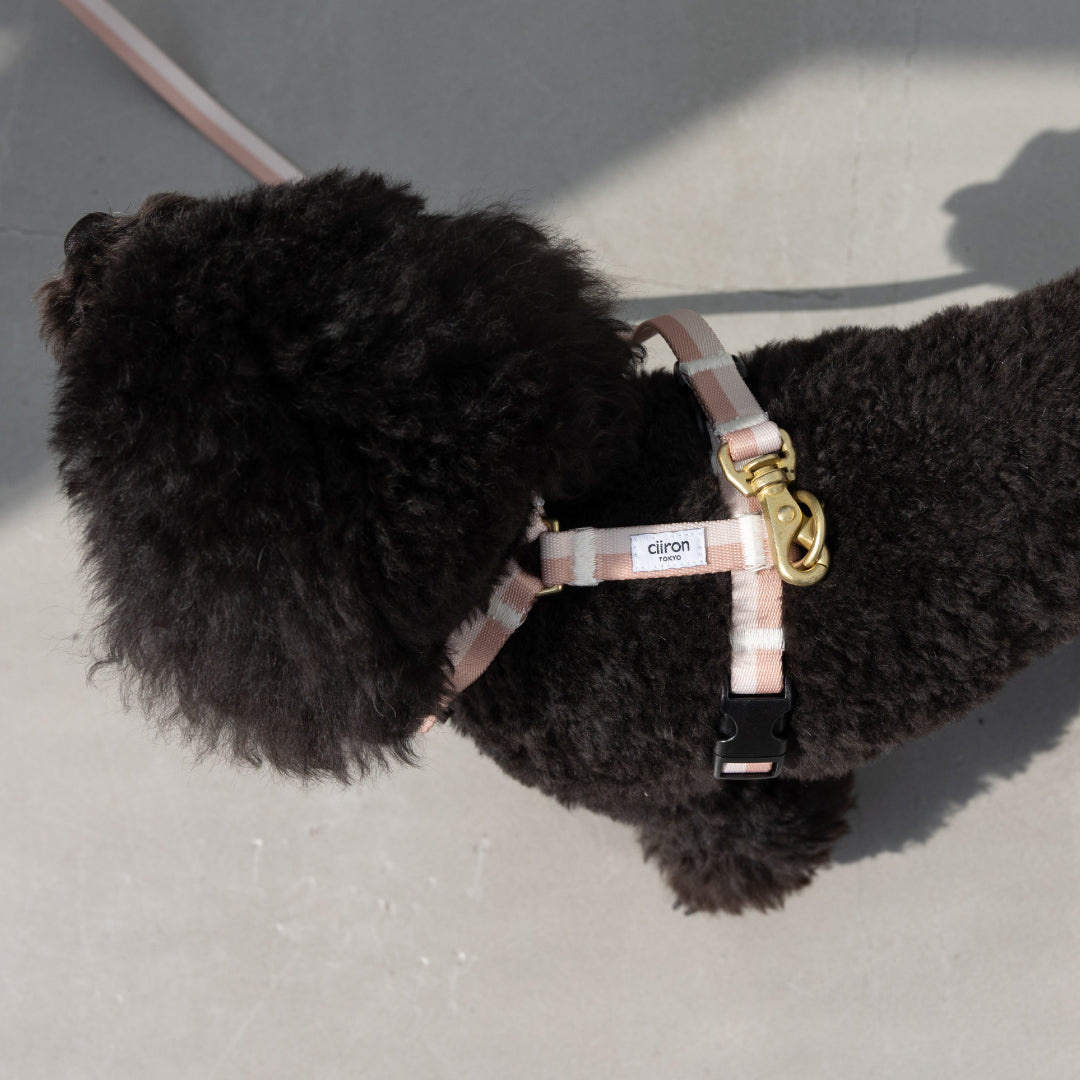 ハーネス NUDE 再入荷！ – ciiron tokyo