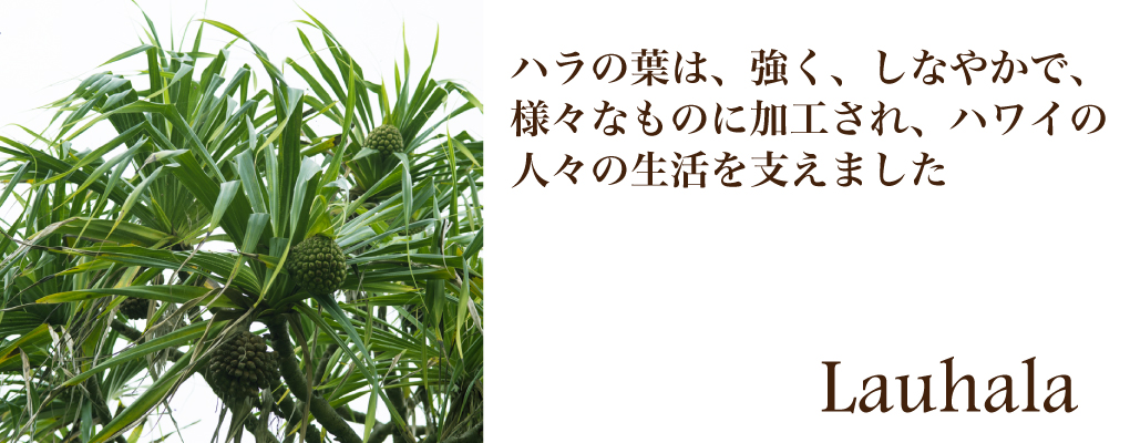 ハワイの植物：Lauhala（ラウハラ）の育て方 - ハワイアン・セレクト