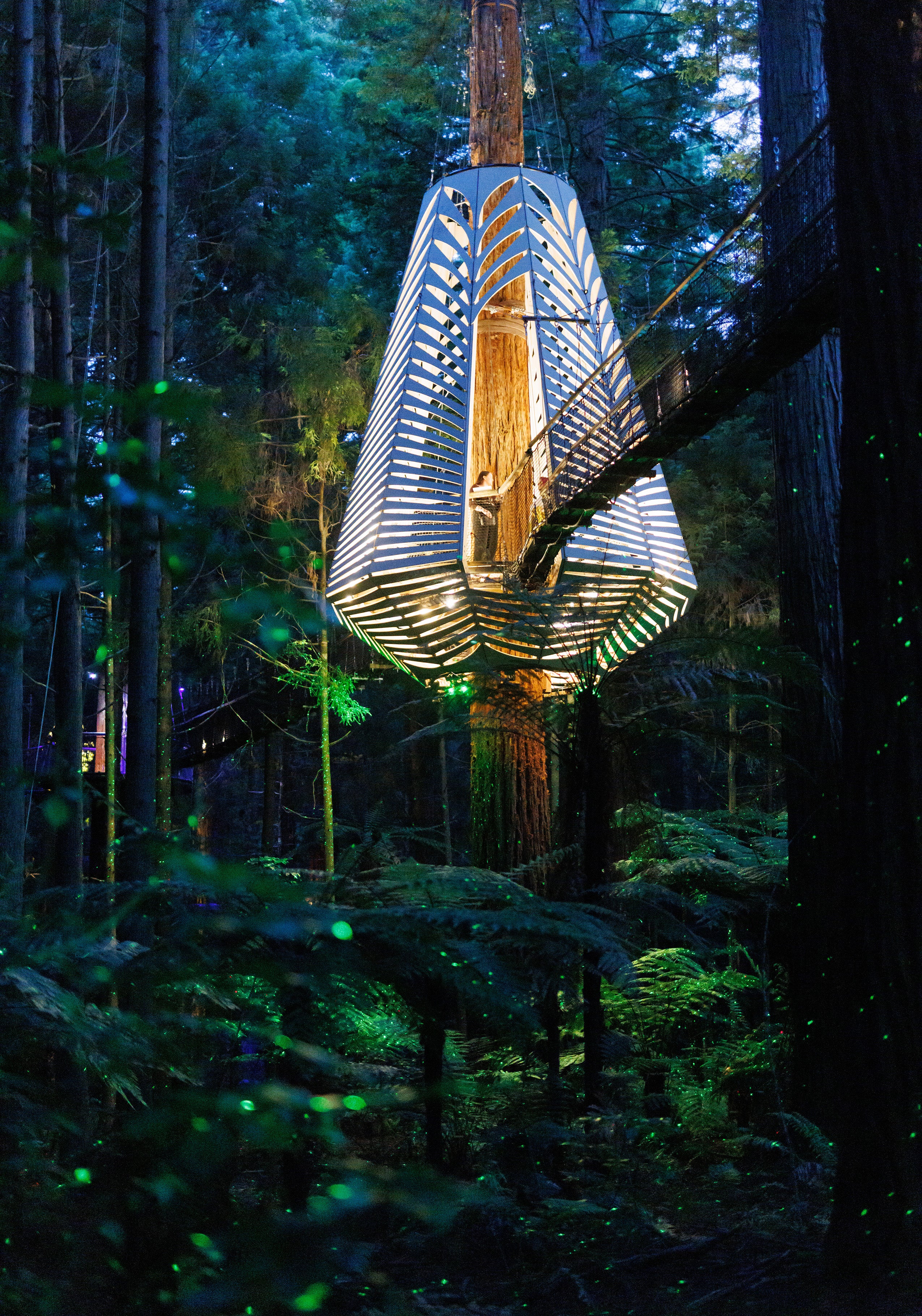 Rotorua Redwoods Horoeka – David Trubridge