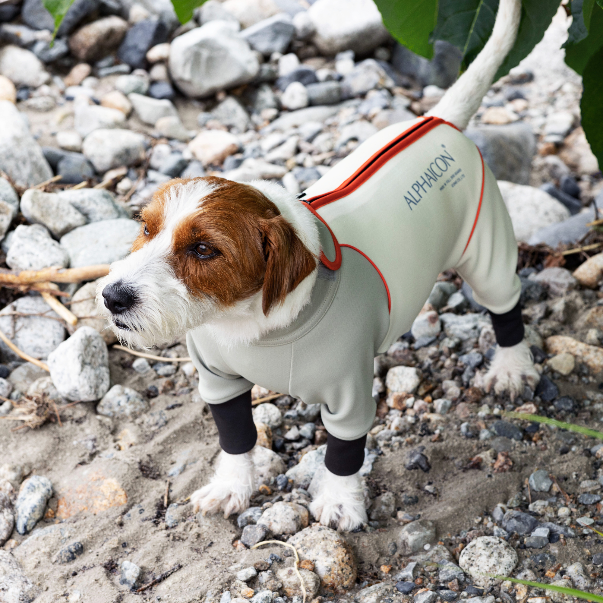 新商品情報】W.FULL DOG GUARD 9/12発売