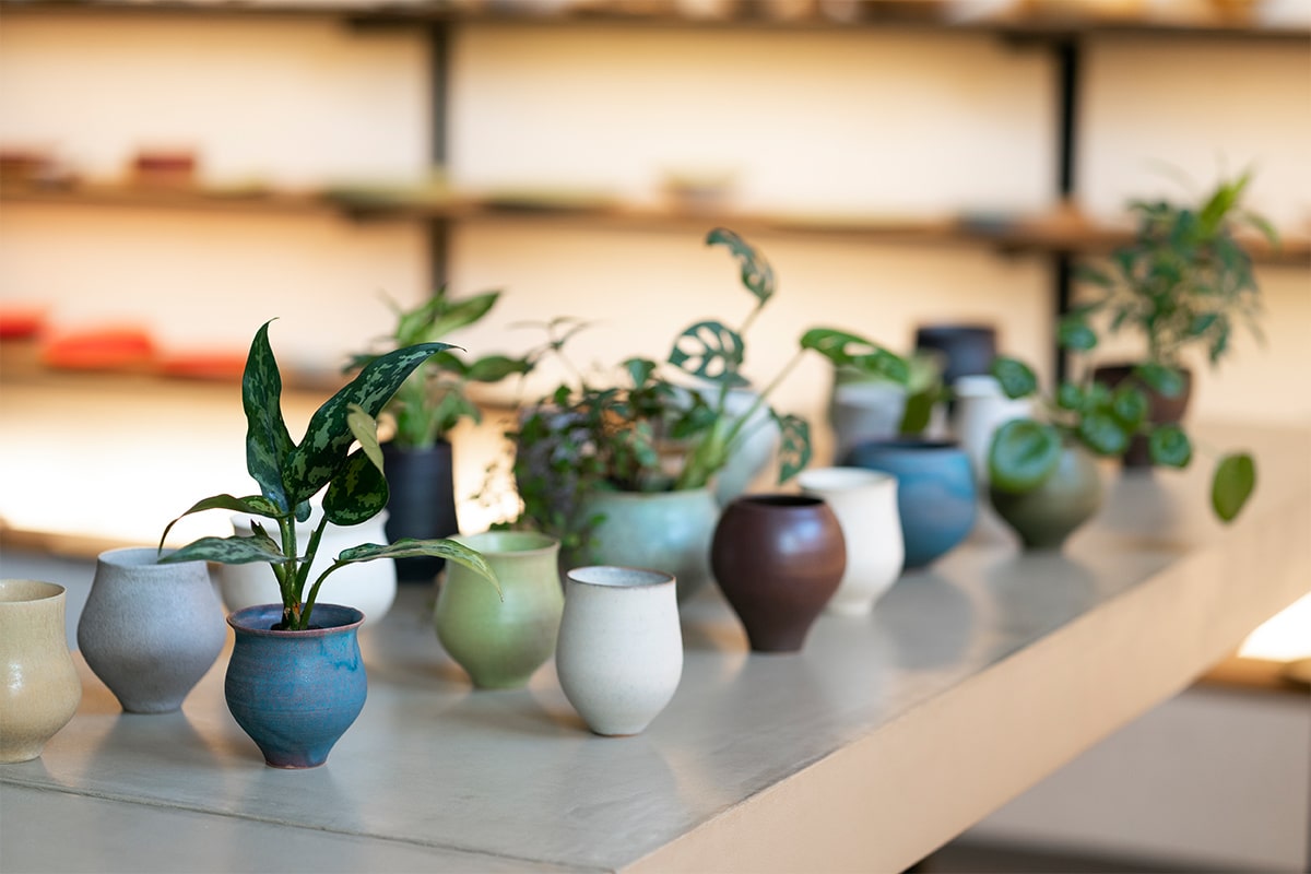 ＆Greenスペシャルインタビュー＃02 シンプルに寄り添う（TOKINOHA