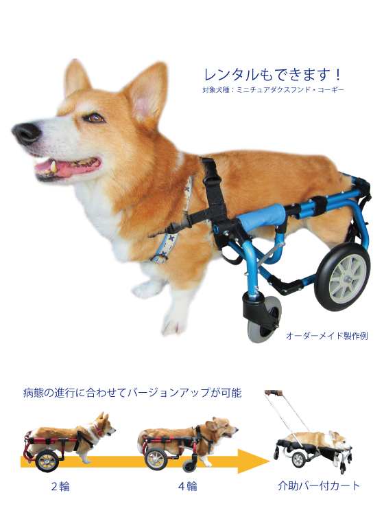 AOJカート車いす・介護用品｜Animal Ortho Japan
