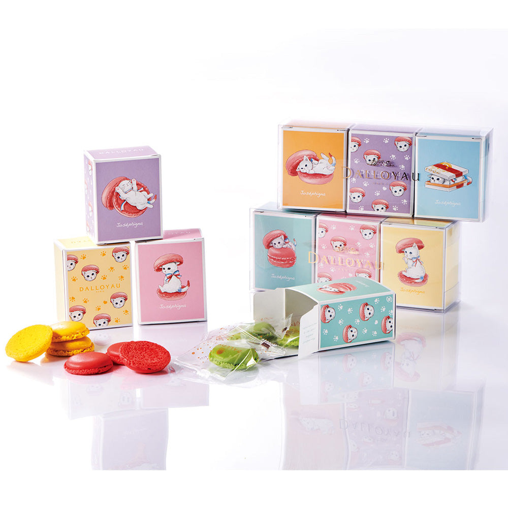 1802年パリ創業 ダロワイヨ ニャカロンラスク 3個セットA – AOYAMA