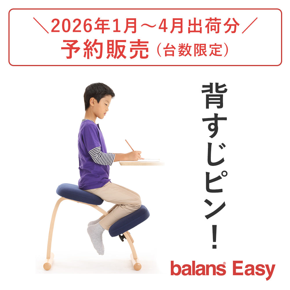 2026年分予約販売】ラクに姿勢がよくなる椅子｜バランス イージー