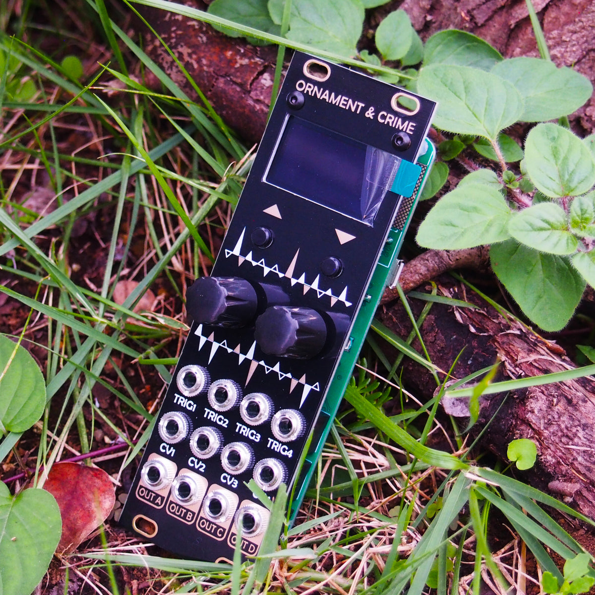 after-later-audio-ornament-and