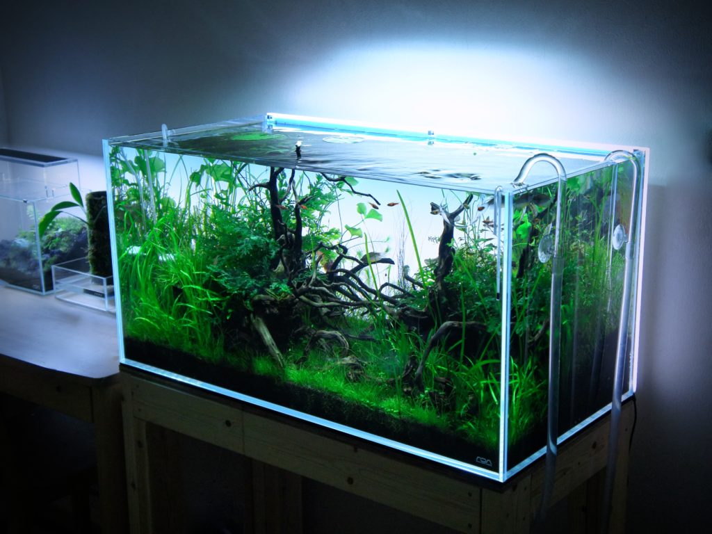 キューブガーデンを買おうか迷っている人の背中を押すためのレビュー