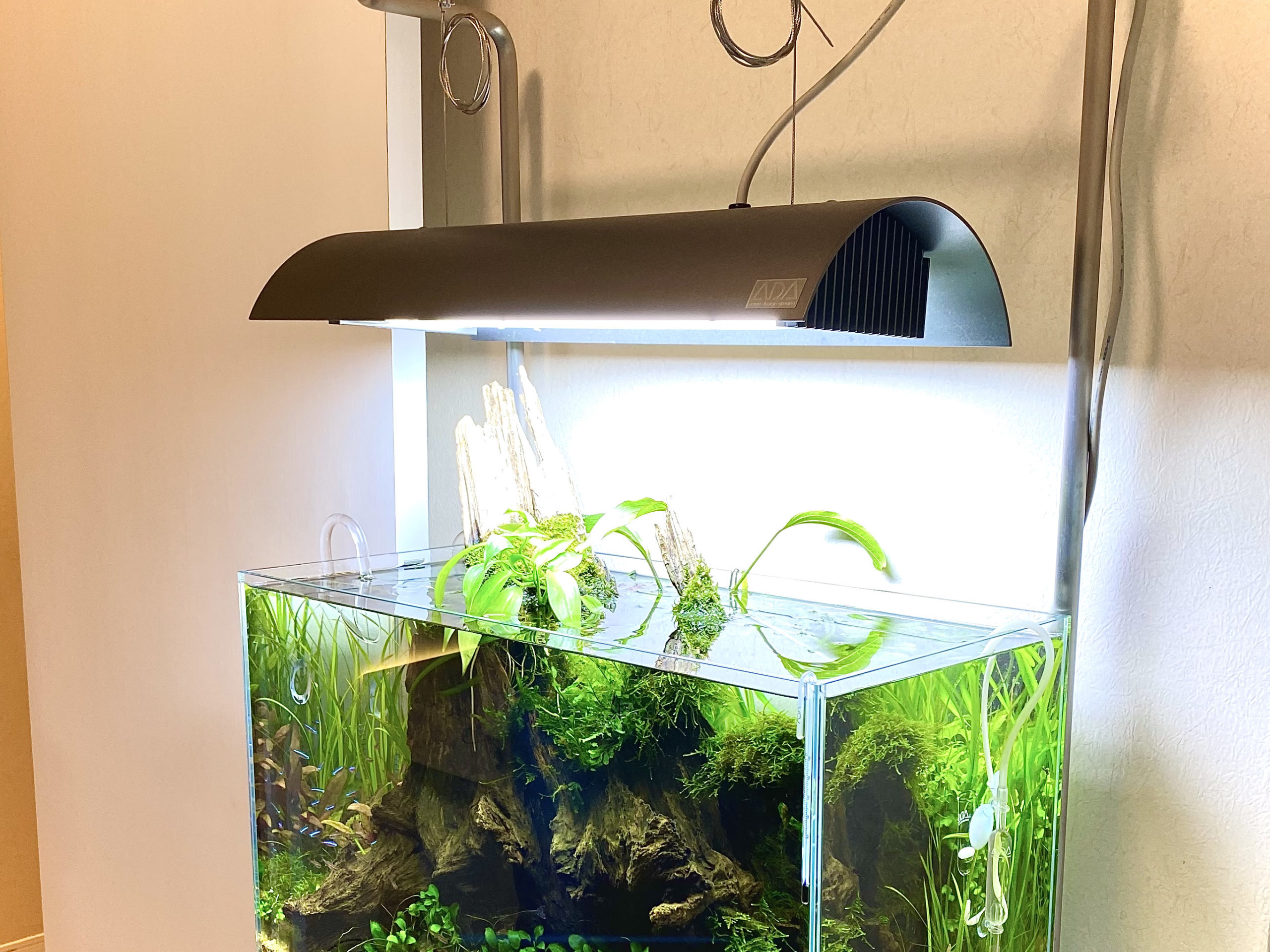 廃盤だけどレビュー #01 ソーラー2 - The Scaper's Room