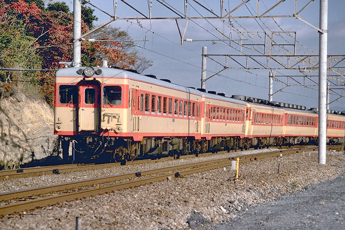 224.南海南紀直通急行「きのくに」〈音声あり〉: 鉄道雑画帳