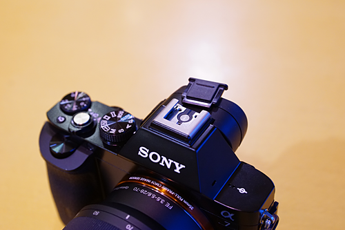 α7Rミニチュアフィギュアが届きました！完全フォトレビューだ！(笑