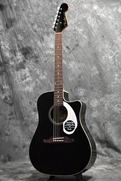 ジャーニーマンの夢 ＃010 フェンダーアコースティックSonoran