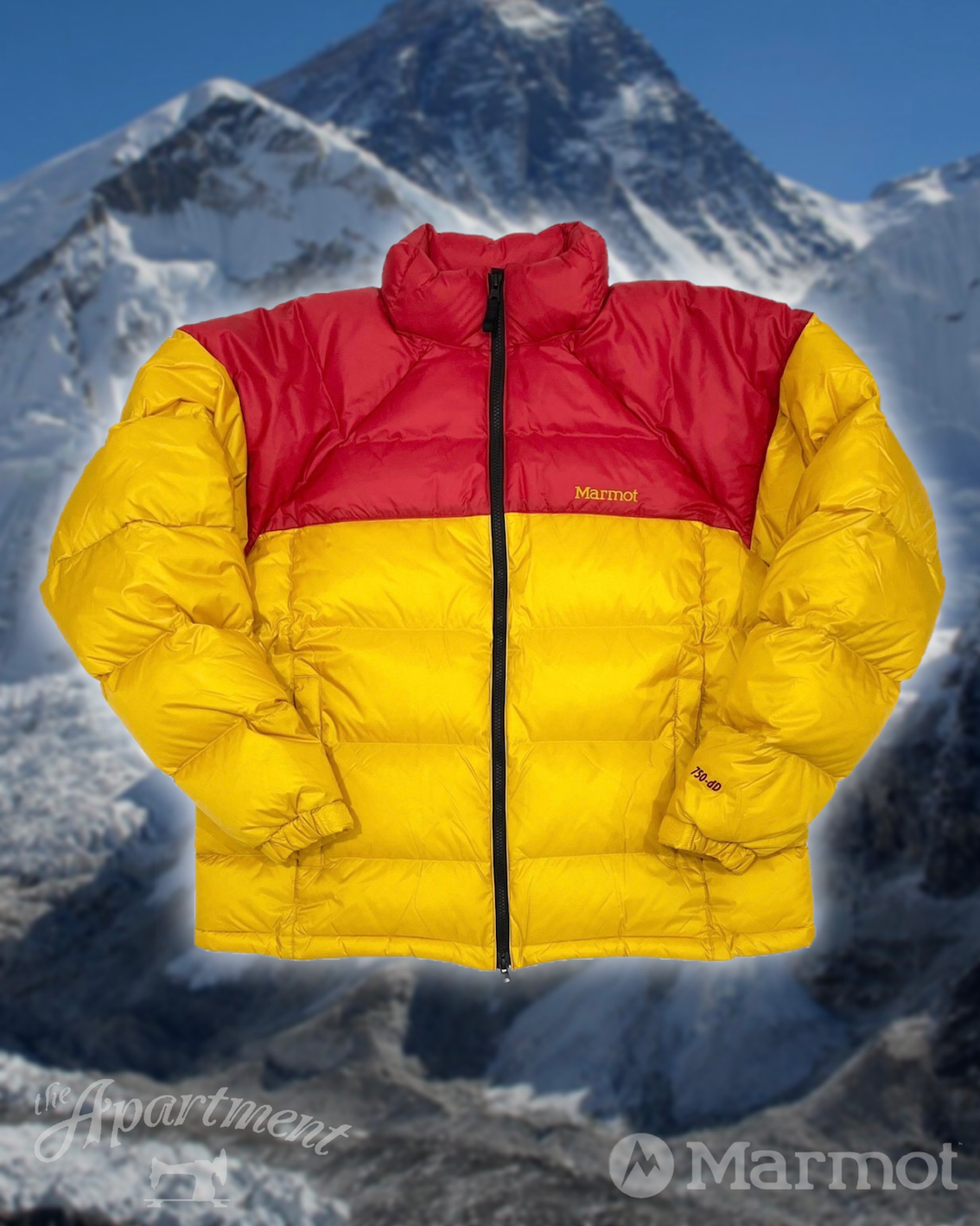 いよいよ明日、2023年初売りです | the Apartment