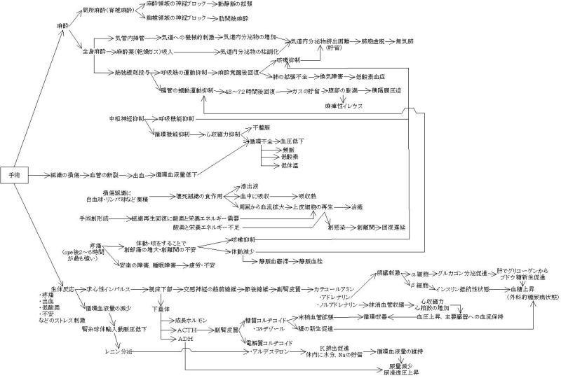 実習中の悩み 看護の関連図をPCで書く方法は？ | 一概には言えない？