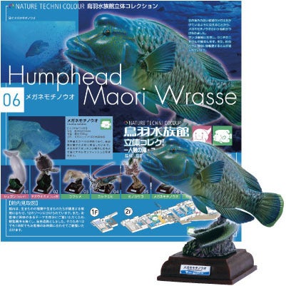 4月下旬発売予定】ネイチャーテクニカラー鳥羽水族館立体コレクション