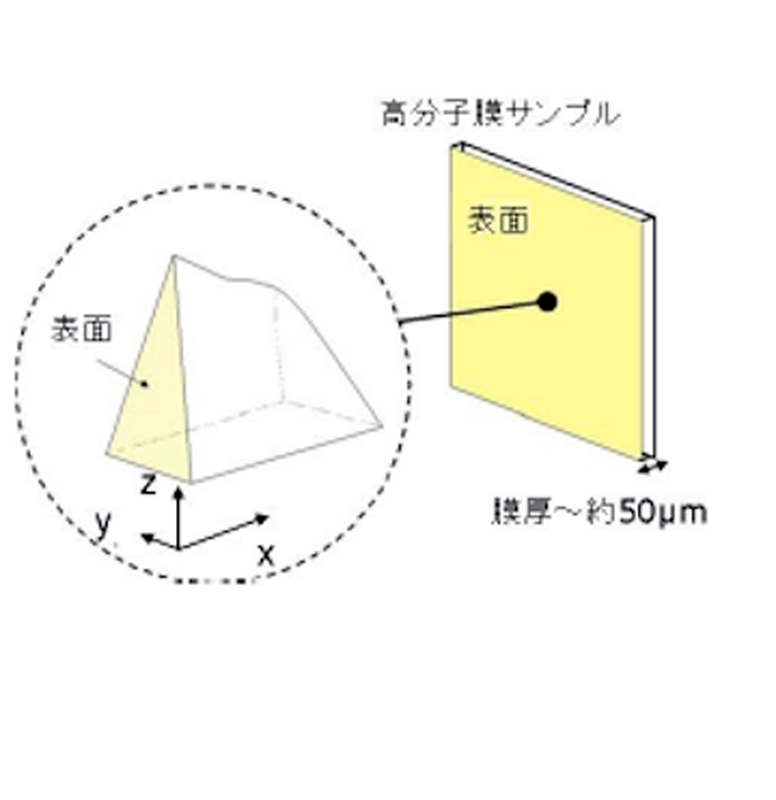 りんごりら 解析力学/ホログラフィー りんごりら 解析力学