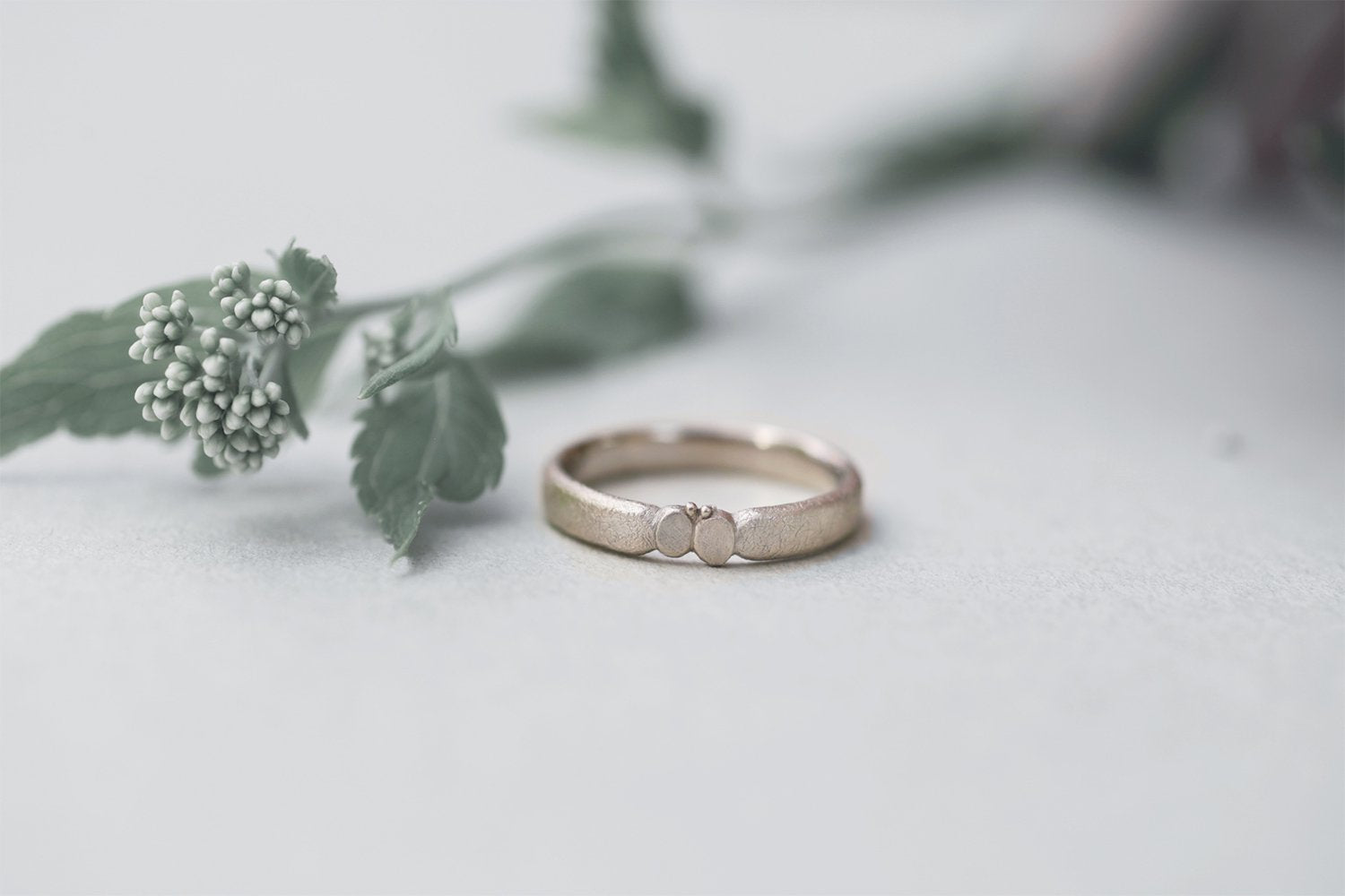 minä perhonen & Ryui 