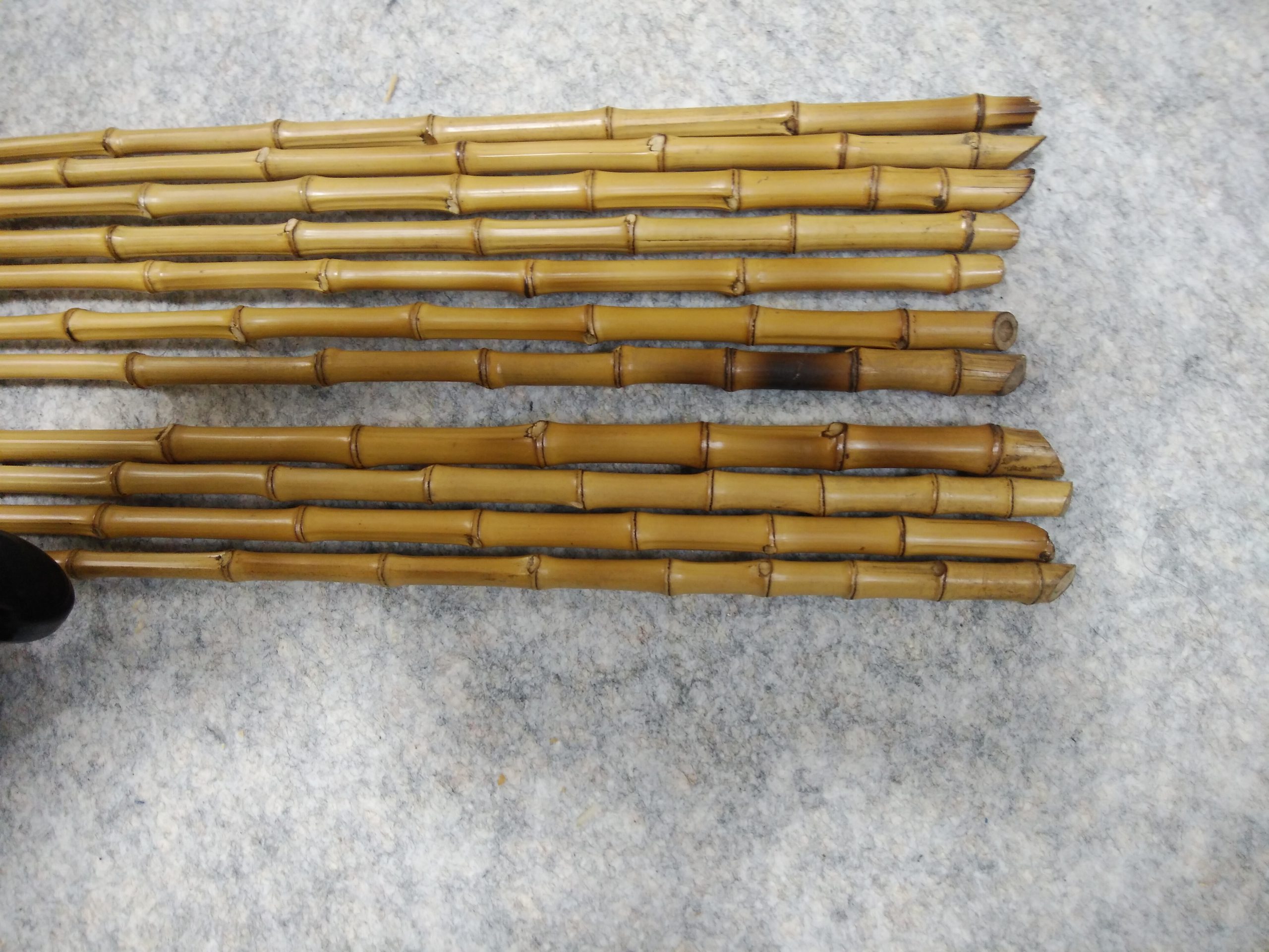 貴重な九州産布袋竹、入荷しました！ | 初心者のための和竿製作 - 埼玉