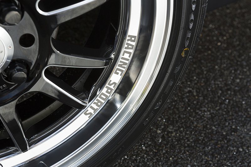 PANTHERA Version M6 | 5ZIGENインターナショナル株式会社