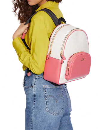 Coach Court Backpack In Signature Canvas | Brixton Baker