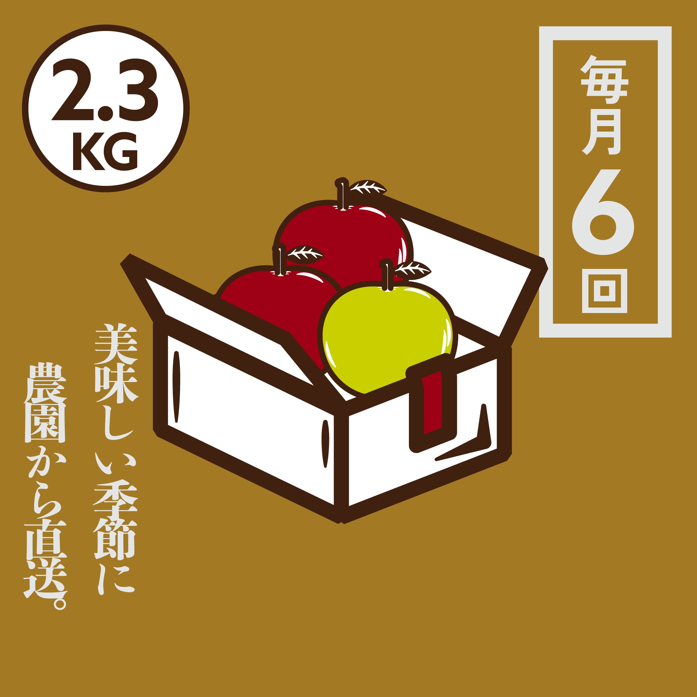 青森りんご定期便 2.3kg 毎月6回コース | 産地直送通販 | 青森りんご