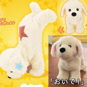 さかだちラッキー ホワイト