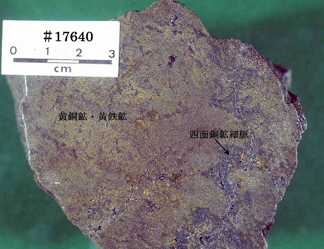 日本新産・稀産鉱物】秋田県古遠部鉱山産含砒素レニエル鉱：山口大学