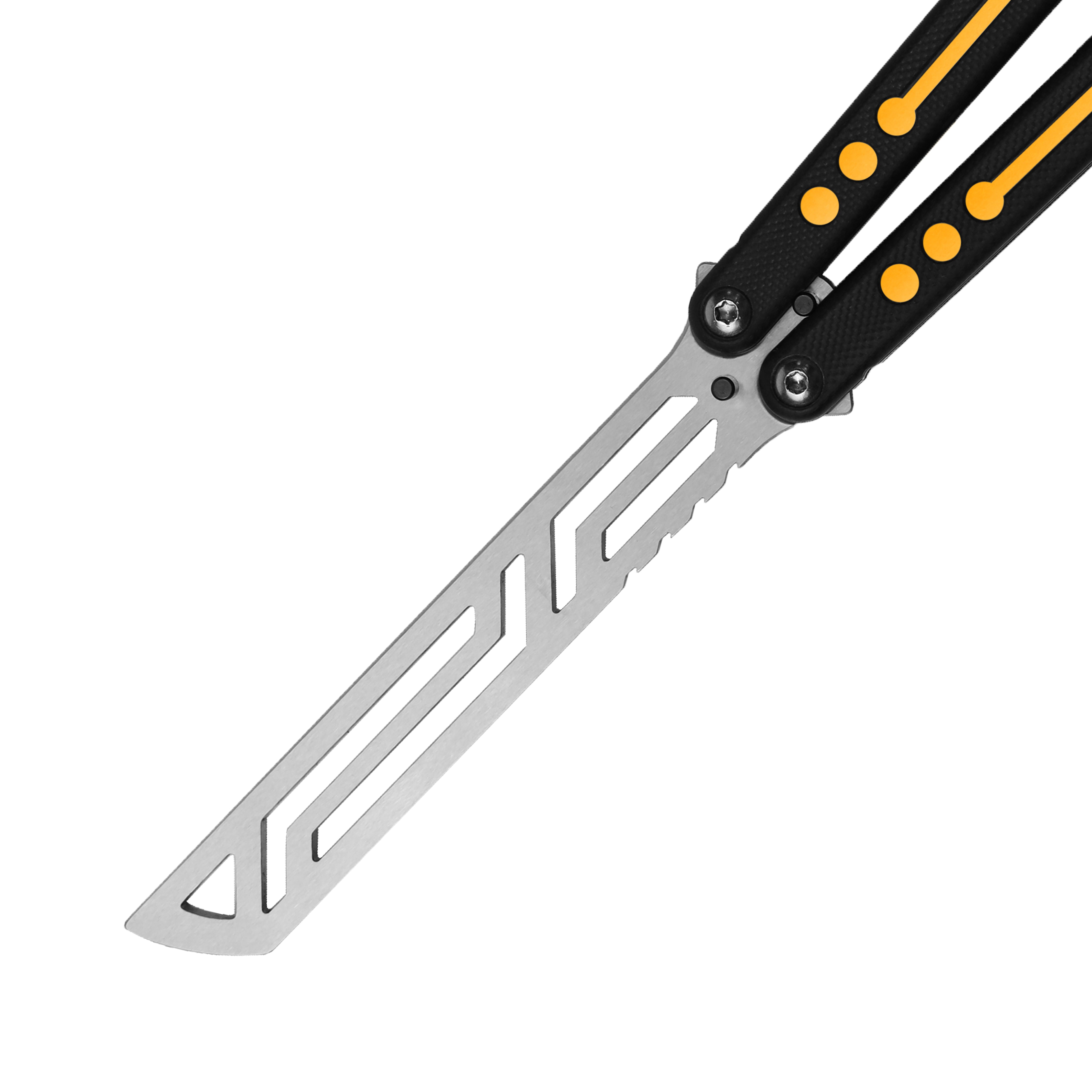 The Nautilus Collection – Squid Industries