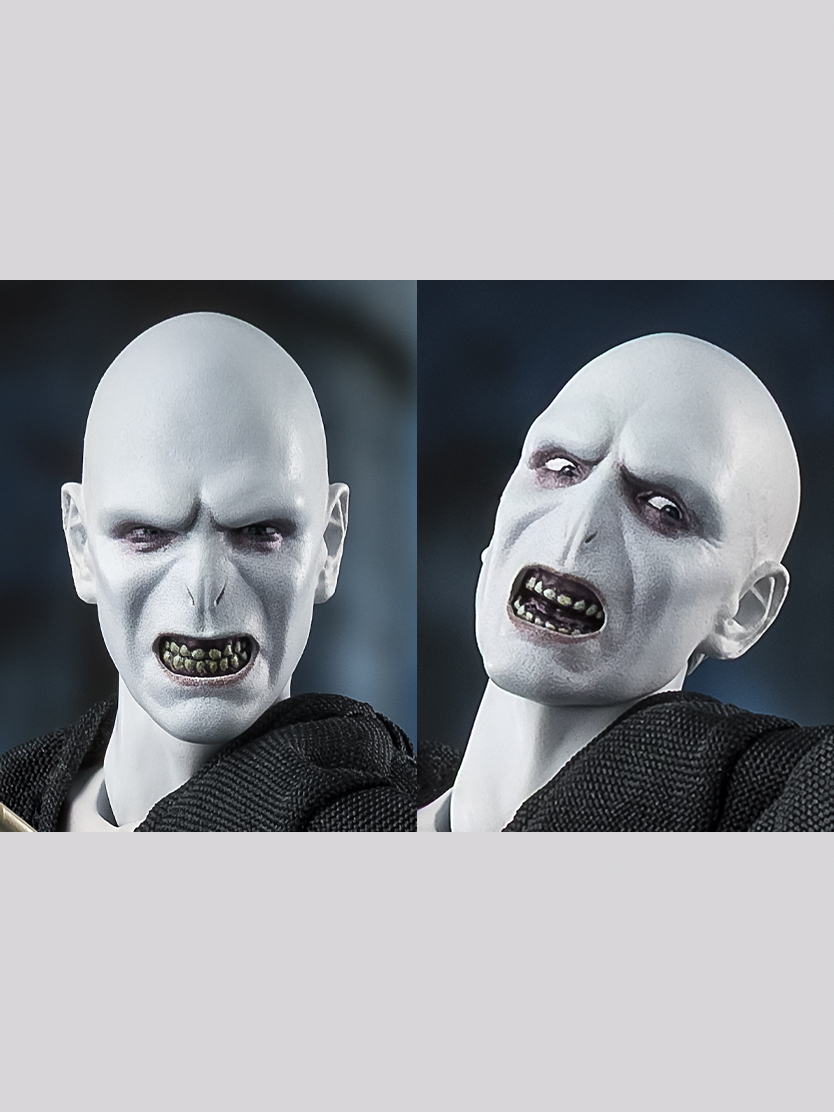 S.H.Figuarts ヴォルデモート卿（ハリー・ポッターと炎のゴブレット