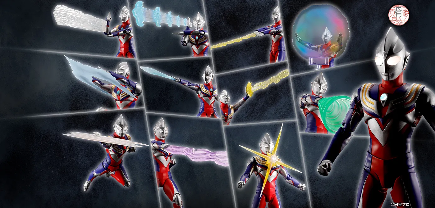 S.H.Figuarts（真骨彫製法）（エス・エイチ・フィギュアーツ シンコッ