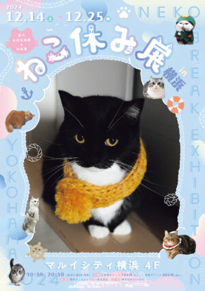 6f39ecdc6719e4417f93a3c77b165e