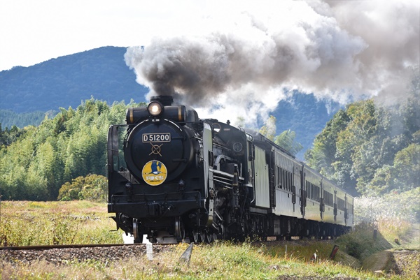 SLやまぐち号」5月3日から運転再開、牽引機はD51（山口県） | 旅と
