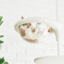 Cat Forest-2（キャットフォレスト ツー）｜OPPO （オッポ） 犬・猫