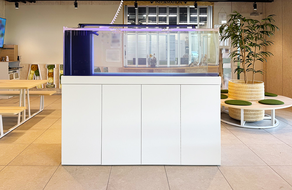 専門学校様にオーダーメイド水槽を納品・設置！180cmの大型水槽一式を