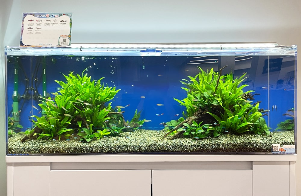 サブフィルターを活用しよう｜エーハイムサブフィルターの特徴と