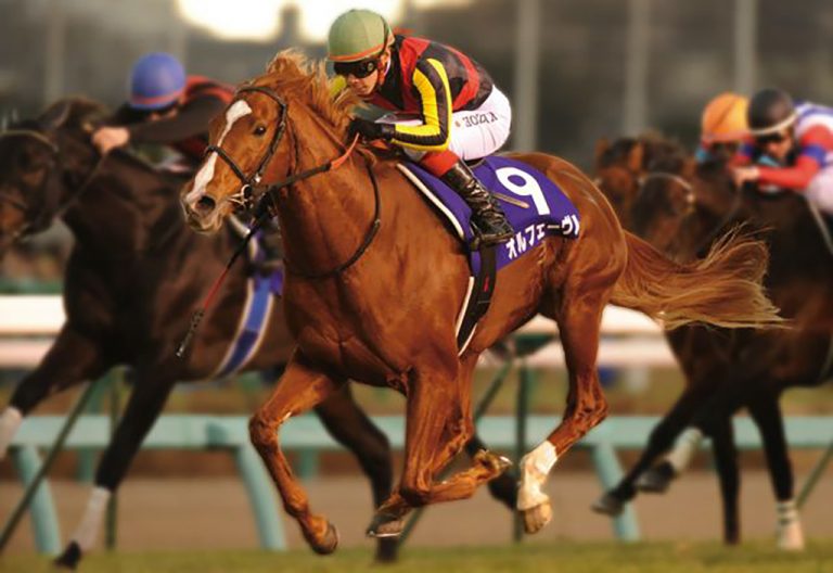 オルフェーヴル引退記念ポストカードセット リニューアル入荷待ち