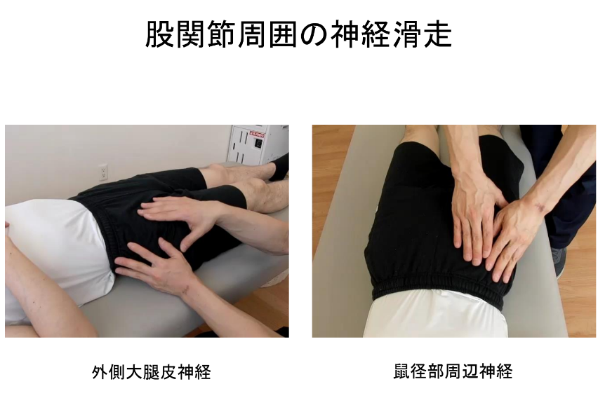 股関節周囲のfascia（鼠径部）の見方と運動療法～拘縮と疼痛の評価と