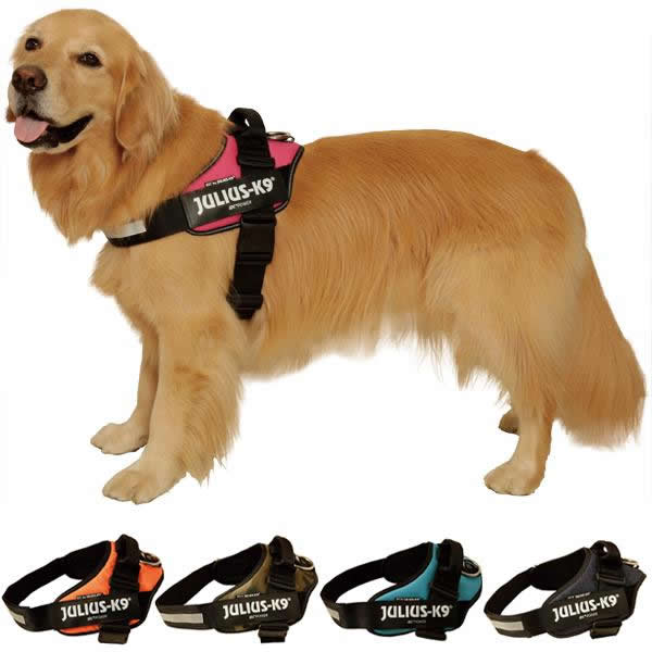 楽天市場】アイアンバロン ハーネスの通販