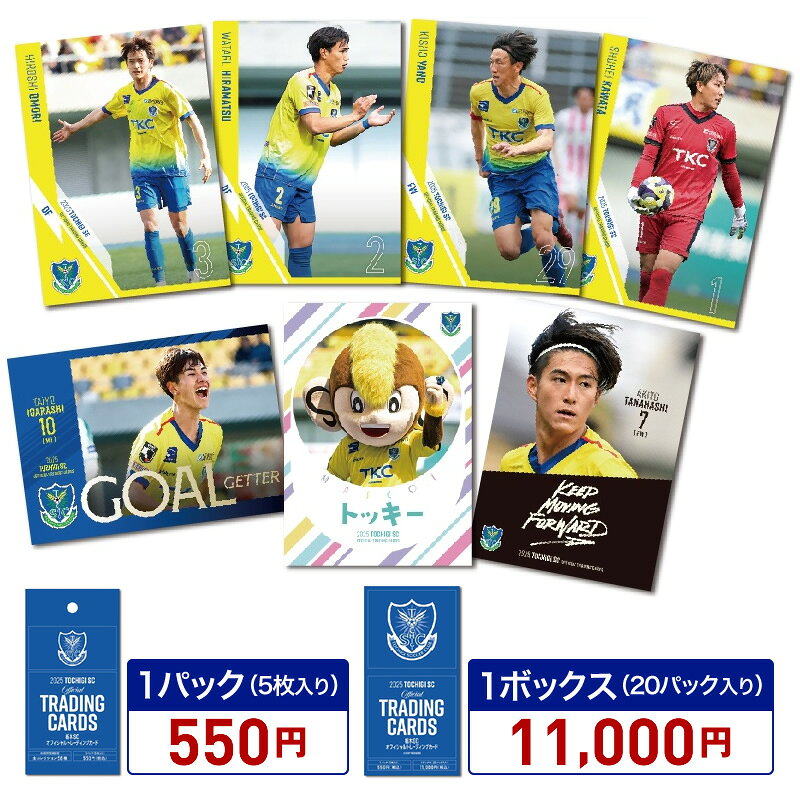 楽天市場】栃木SCの通販