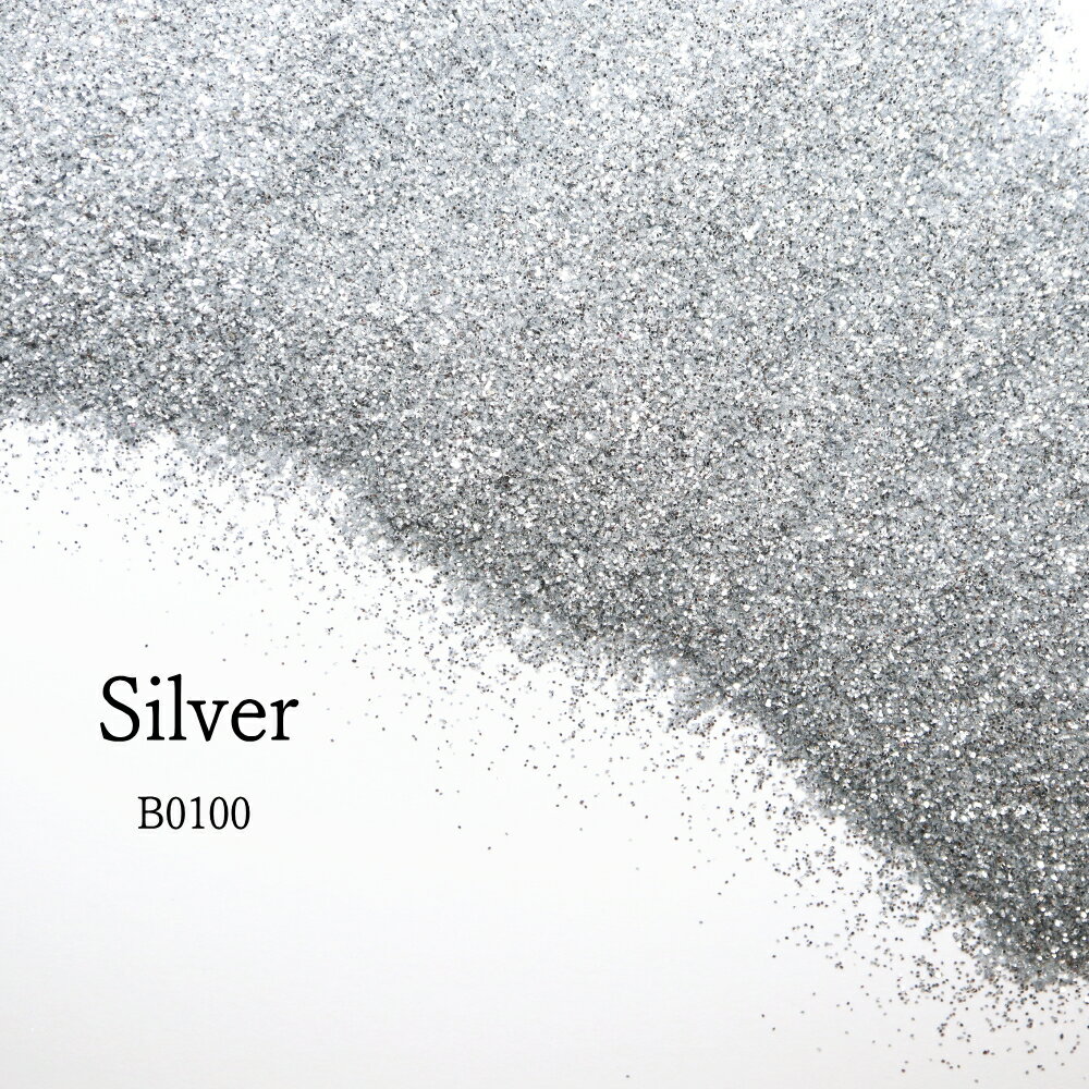 楽天市場】ラメフレーク シルバーの通販