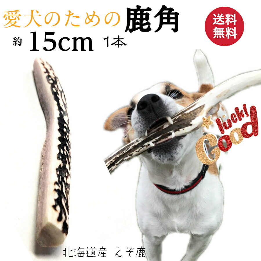 楽天市場】鹿の角（適正犬種フレンチブルドック）の通販