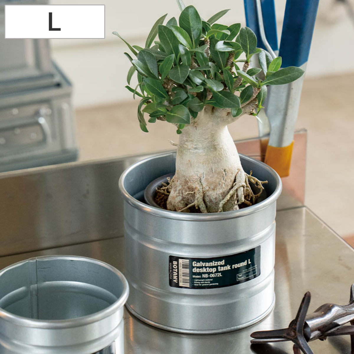 楽天市場】ドラム缶 プランターの通販