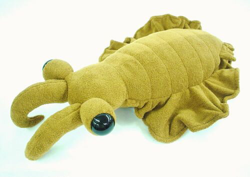 楽天市場】アノマロカリス ぬいぐるみの通販