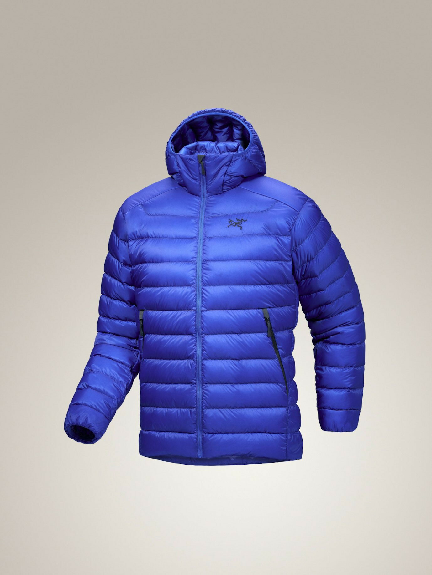 楽天市場】ダウンジャケット（ブランドアークテリクス）（スポーツ