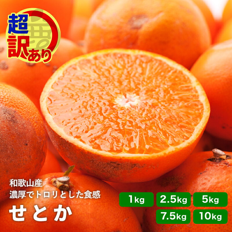 楽天市場】せとか 種の通販