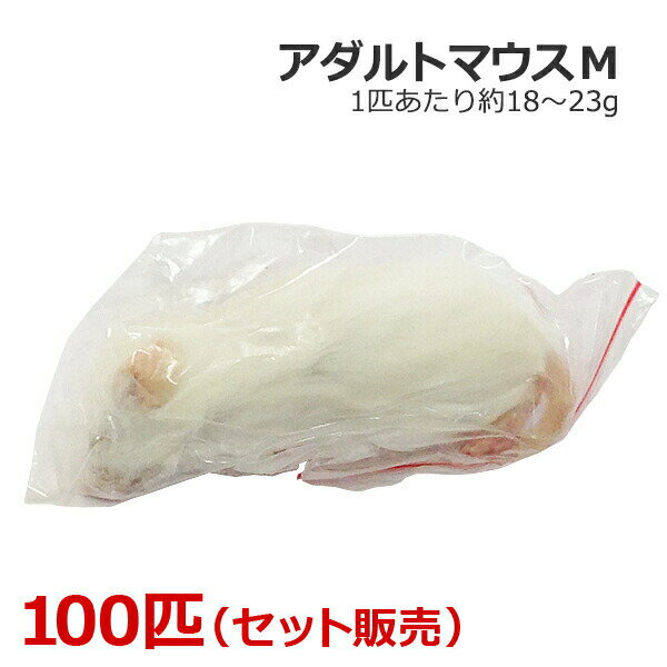楽天市場】冷凍 マウス 100匹の通販