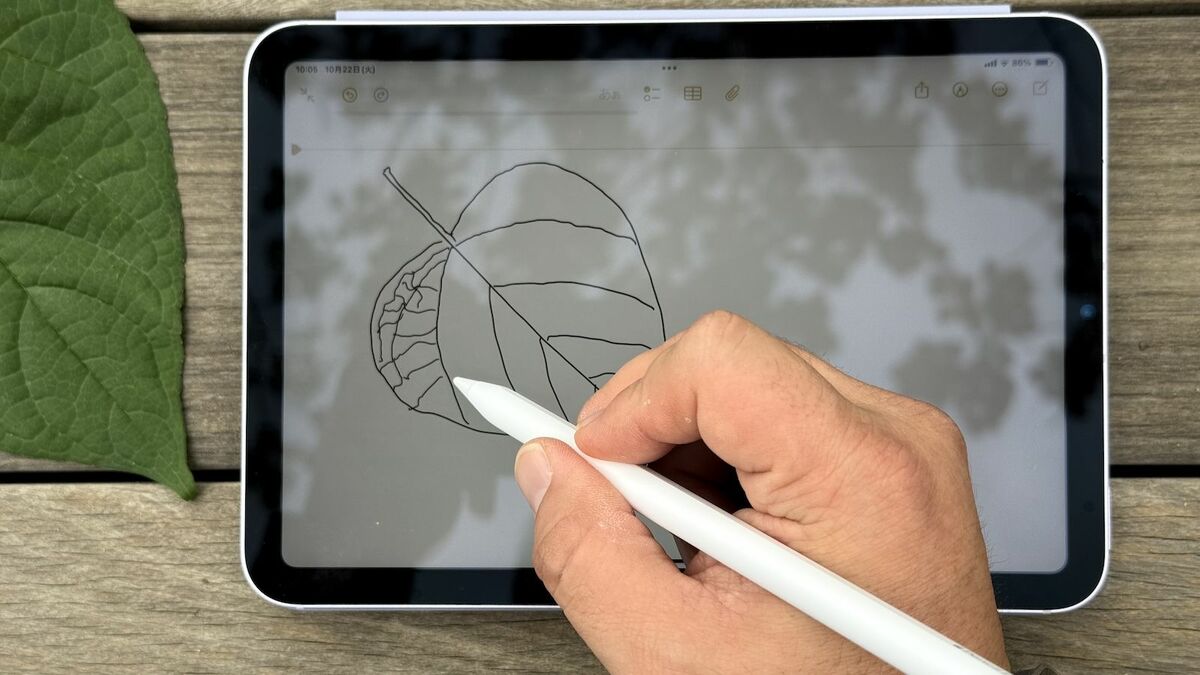 3年ぶりの刷新､AIにも対応｢iPad mini｣は買いだ ただし｢Apple Pencil｣は
