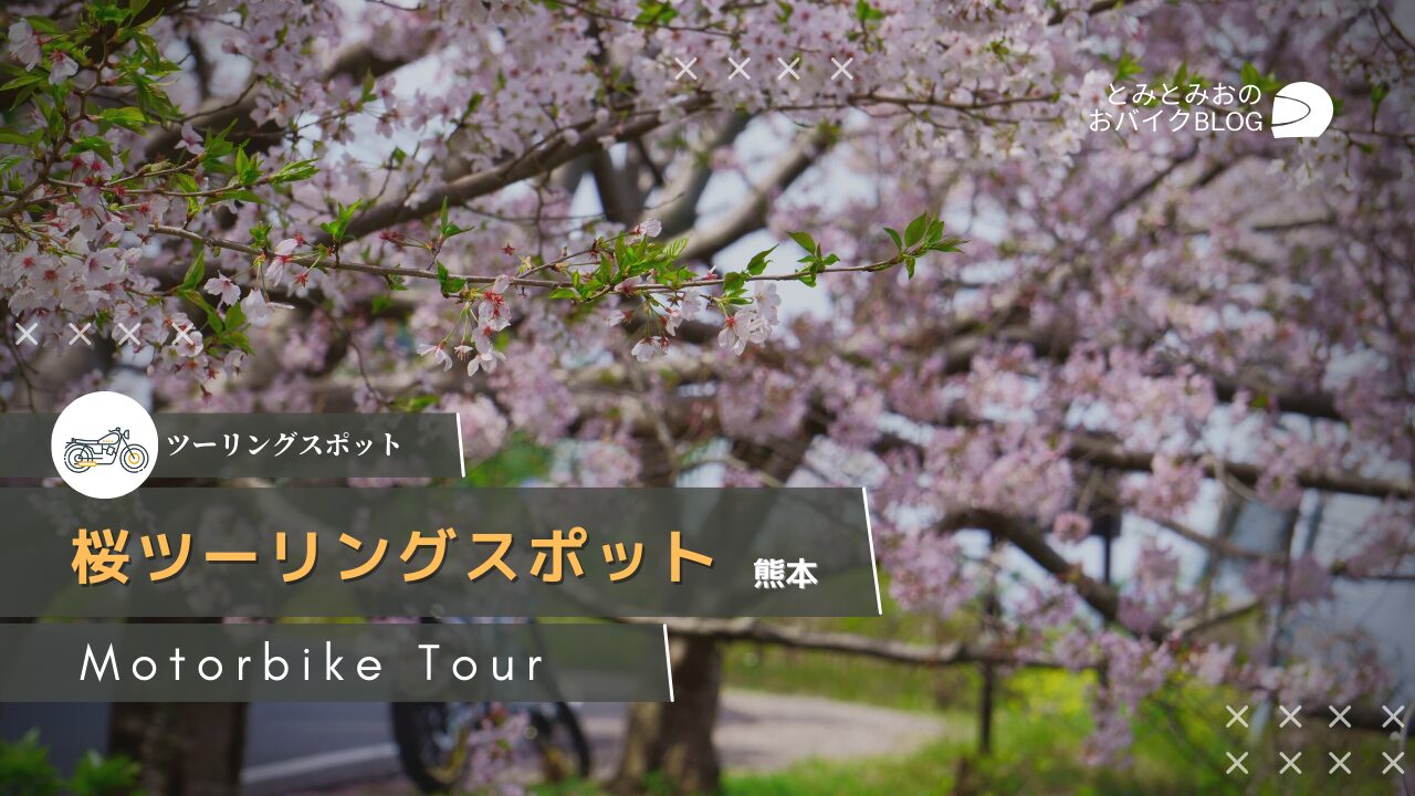 定番から穴場まで】春に行きたいおすすめ熊本の桜ツーリング！【7選＋α